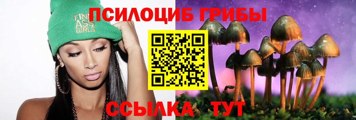 Псилоцибиновые грибы прущие грибы Отрадное