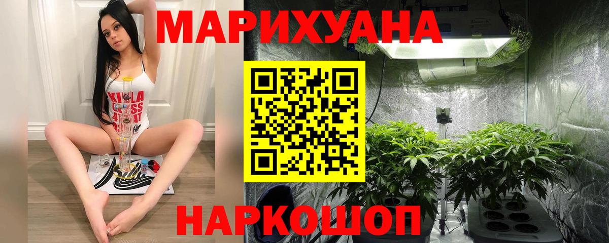 Конопля план Отрадное